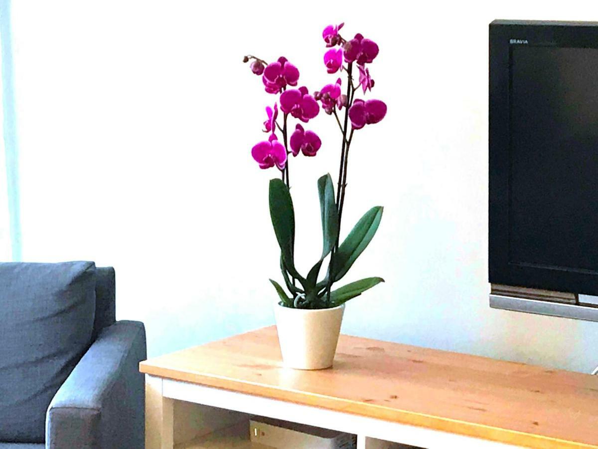 Sopot Apartment Екстер'єр фото
